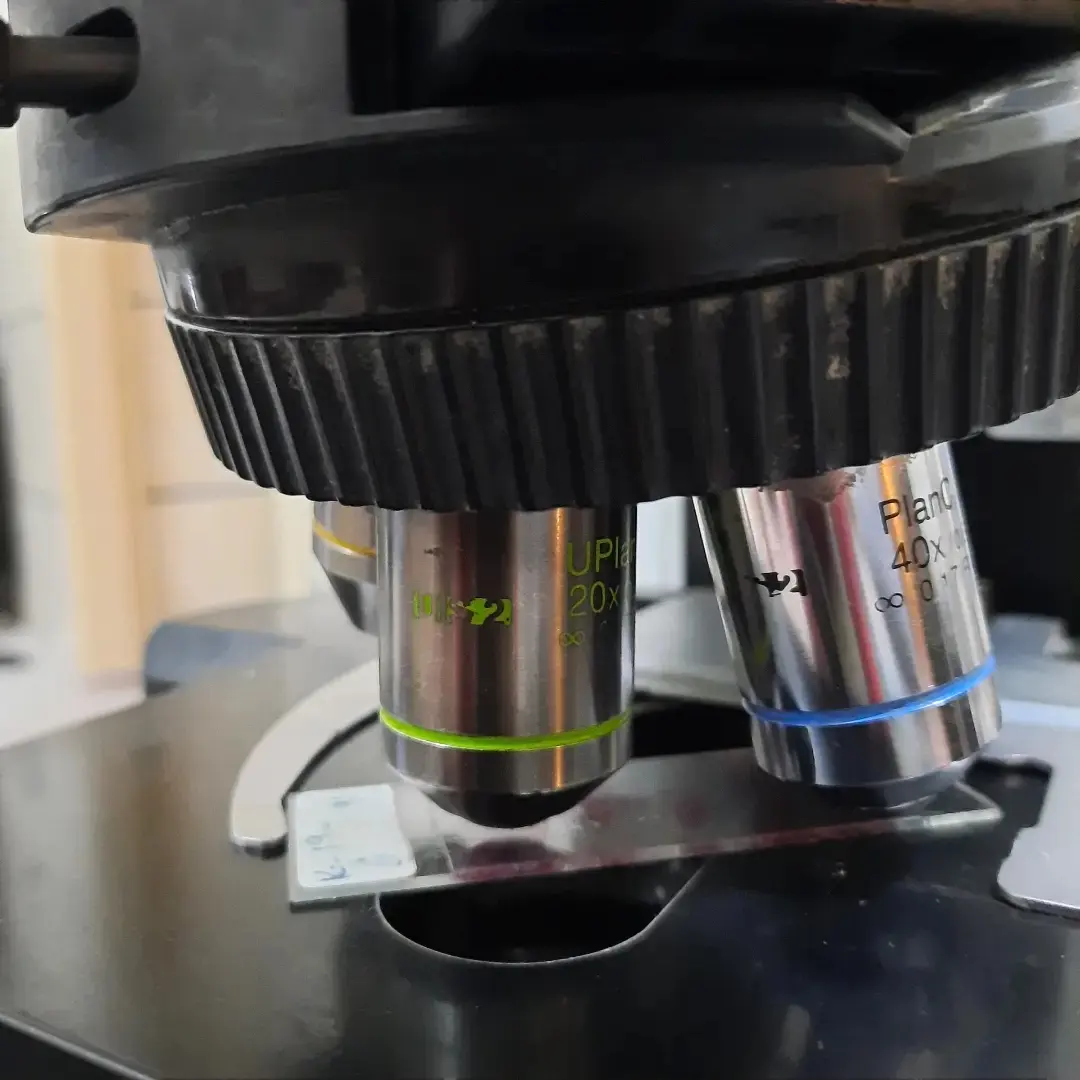 Micoscope olymus cx51