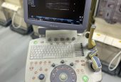 Gyne Ultrasound