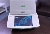 PCR/Real-Time Systm
